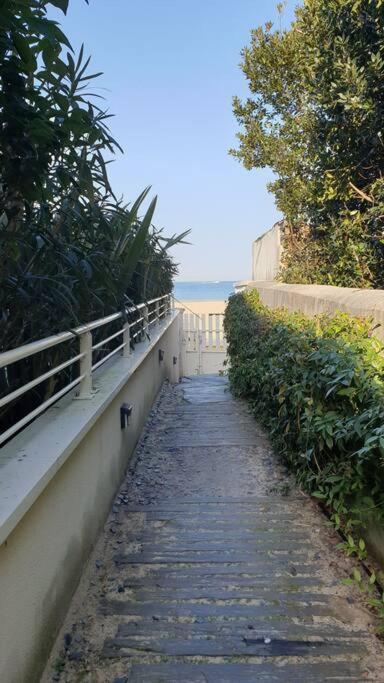 Arcareve - Grand Studio De Standing Avec Terrasse, Jardin Et Acces Direct A La Plage Arcachon Zewnętrze zdjęcie